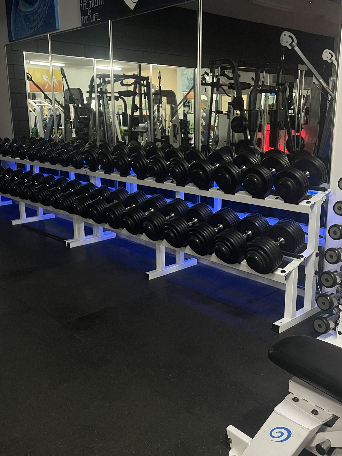 Professional Gym Environment